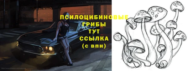 гидра Нефтекумск