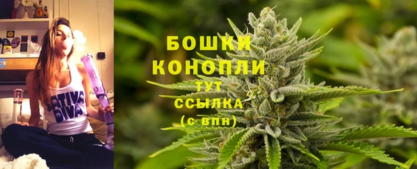 гидра Нефтекумск