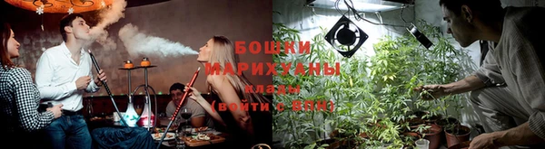 гидра Нефтекумск